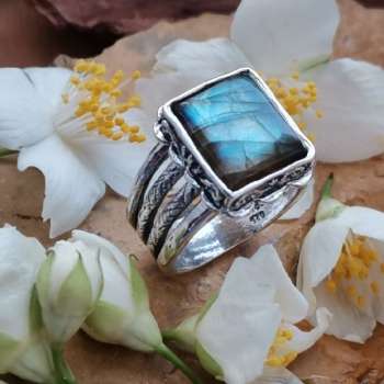 Серебряное кольцо с лабрадором 01R2148LB
