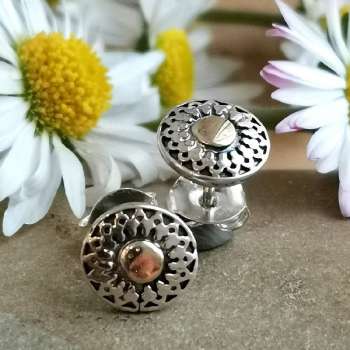 Серебряные серьги с золотом MVE2130G