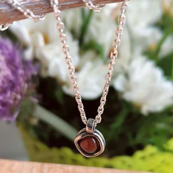 Серебряное колье с сердоликом DN003SR
