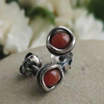 Серебряные серьги с сердоликом DE003SR